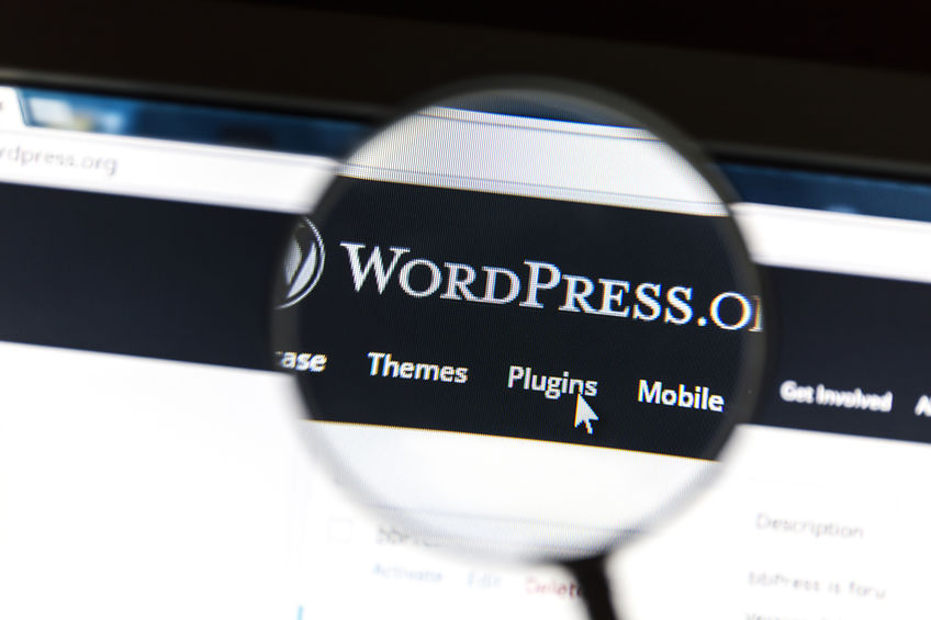 Wordpress Programming