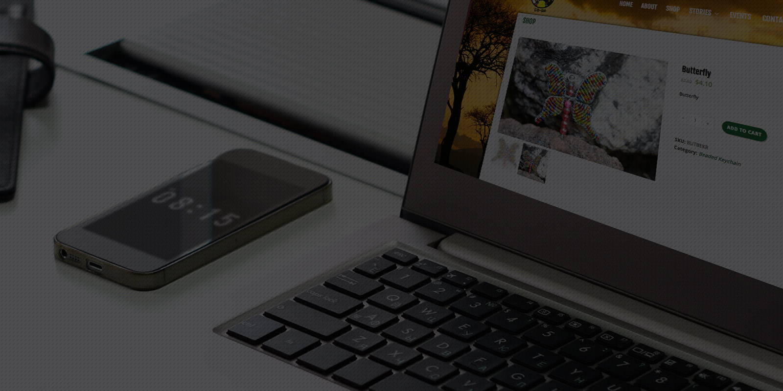 E-Commerce Website Design, Hosting &Amp; Maintenance 7 Background Ecomm Educyber