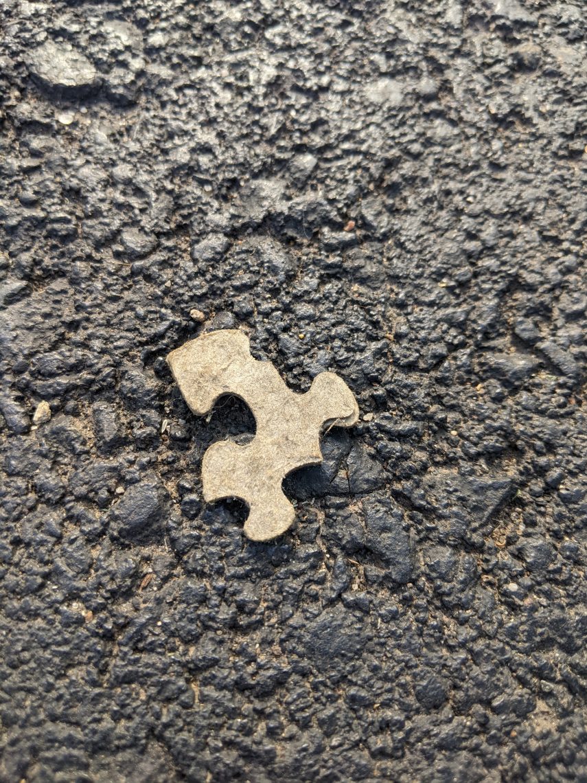 Missing Puzzle Piece