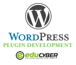 Wordpress Plugin Development Logo 300X256 1 1